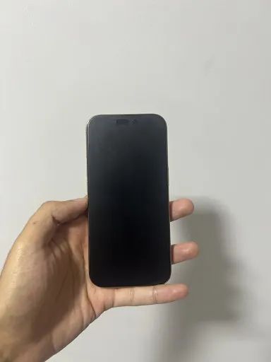 iPhone 16 Pro
