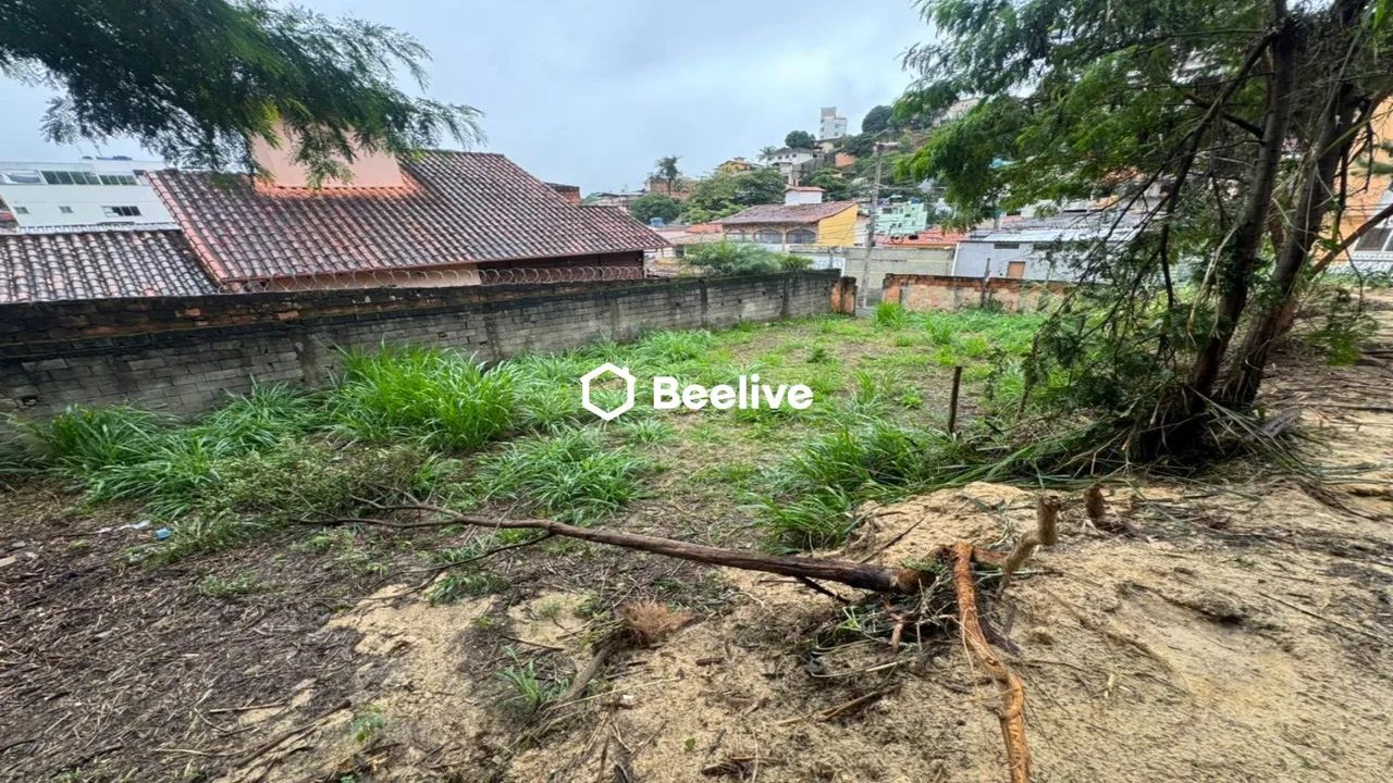 Lote plano Bairro Caiçara - Foto 5