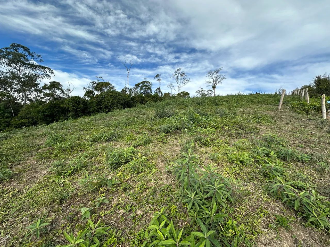 Lindo terreno centro de Guabiruba  - Foto 3