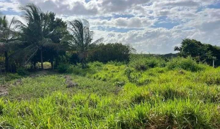 Vende terreno na Paraíba  - Foto 2
