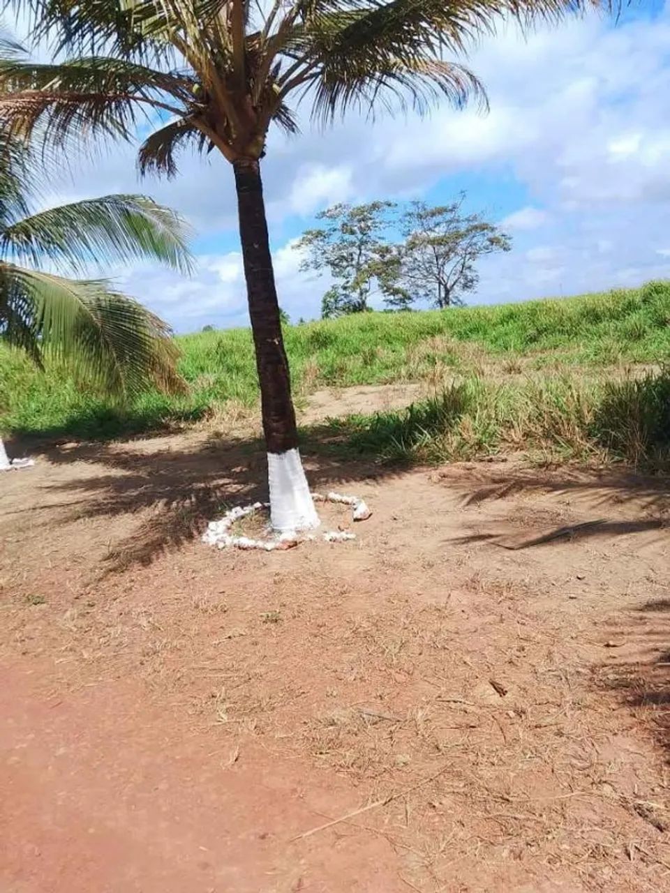 Vendo Chácara em Cariacica - Foto 5