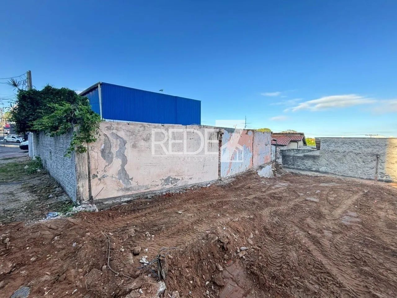 terreno - Vila Georgina - Campinas - Foto 4