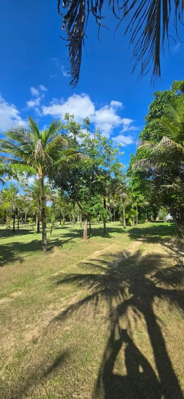 Sitio a venda Conceição de Macabú - Foto 2