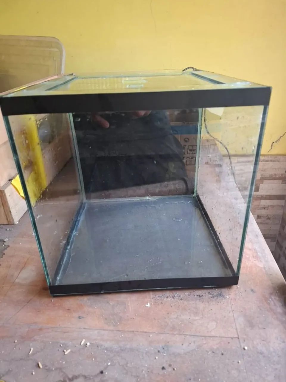 Aquário 
