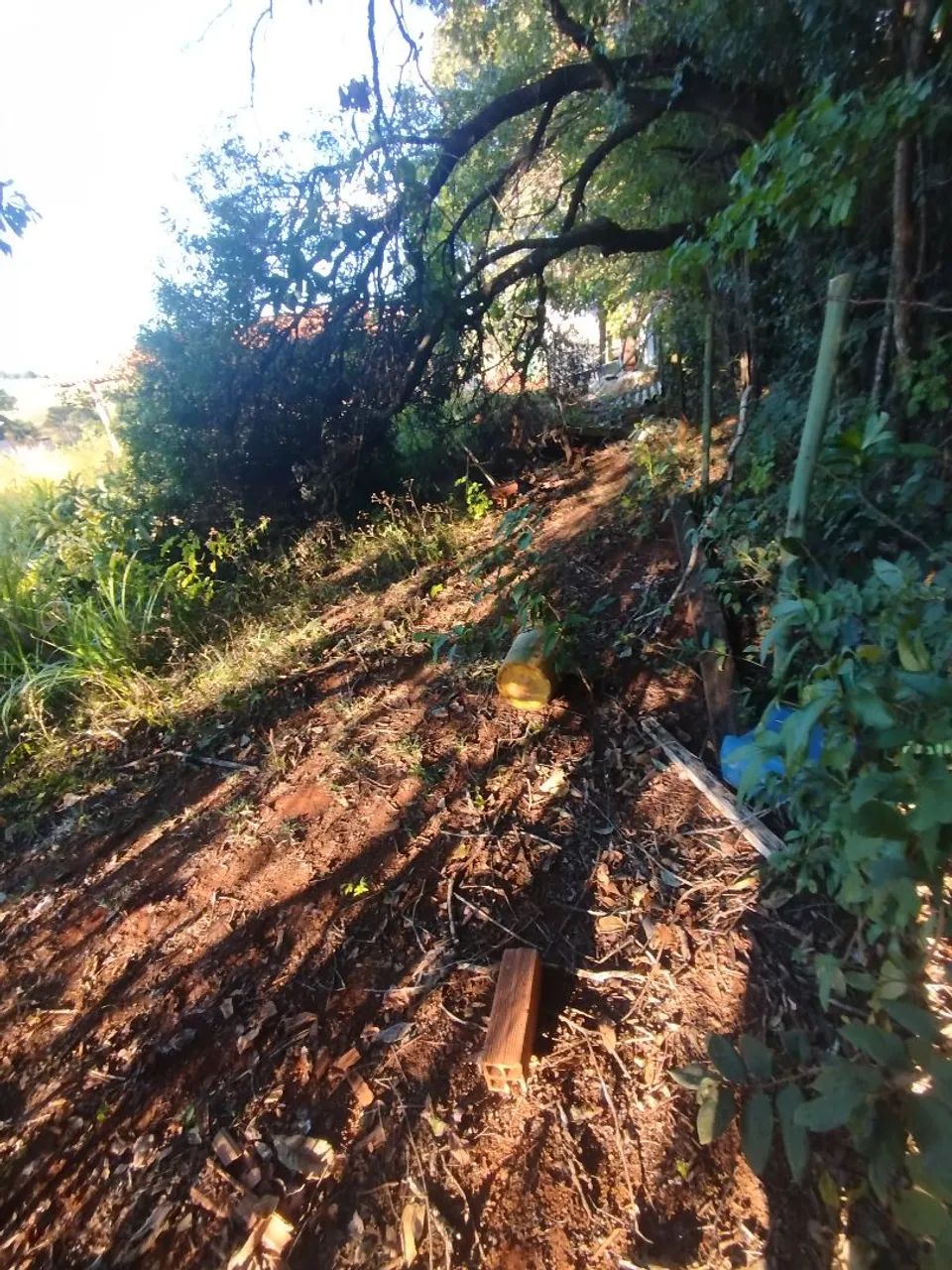 Chácara em Bonfinópolis urgente  - Foto 4