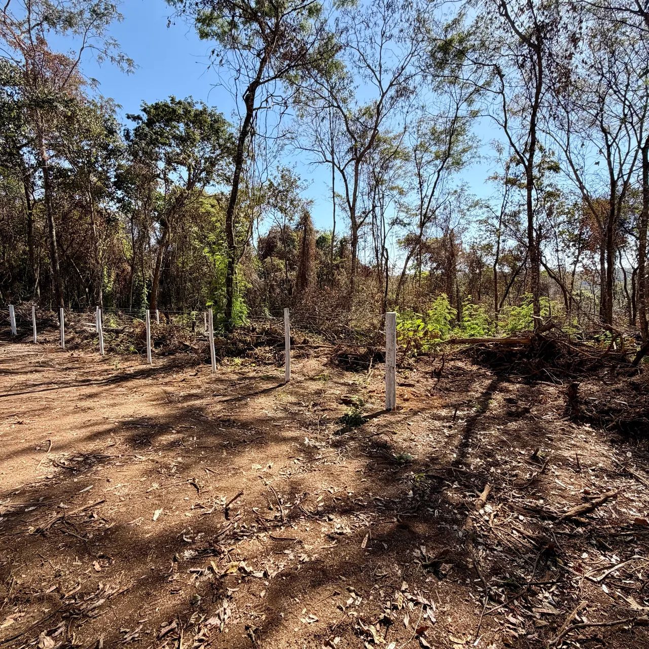 Chácara 1.100m2 em Bonfinópolis GO - Foto 4