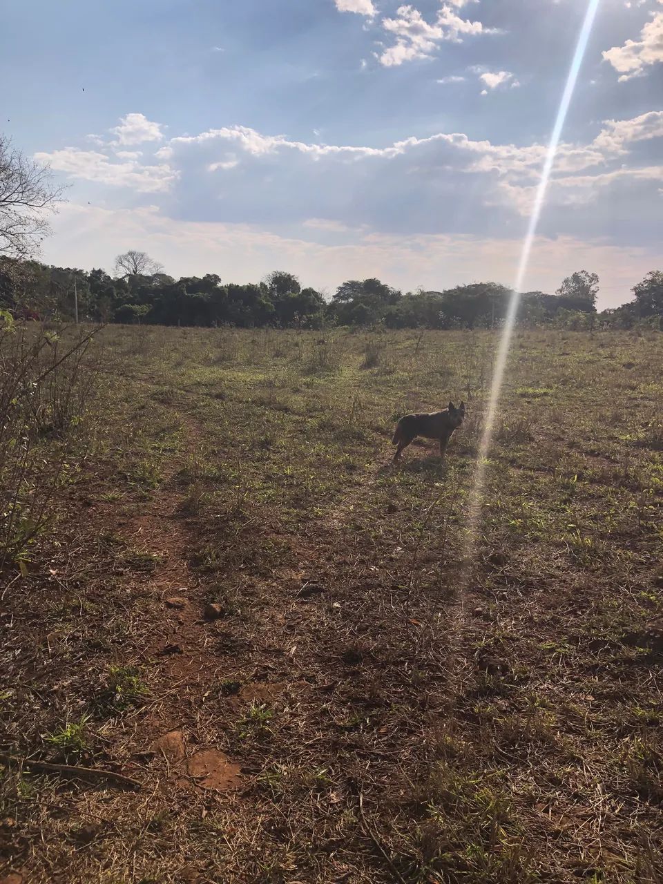 Chácara de 2 hectares às margens do rio Babilônia  - Foto 5