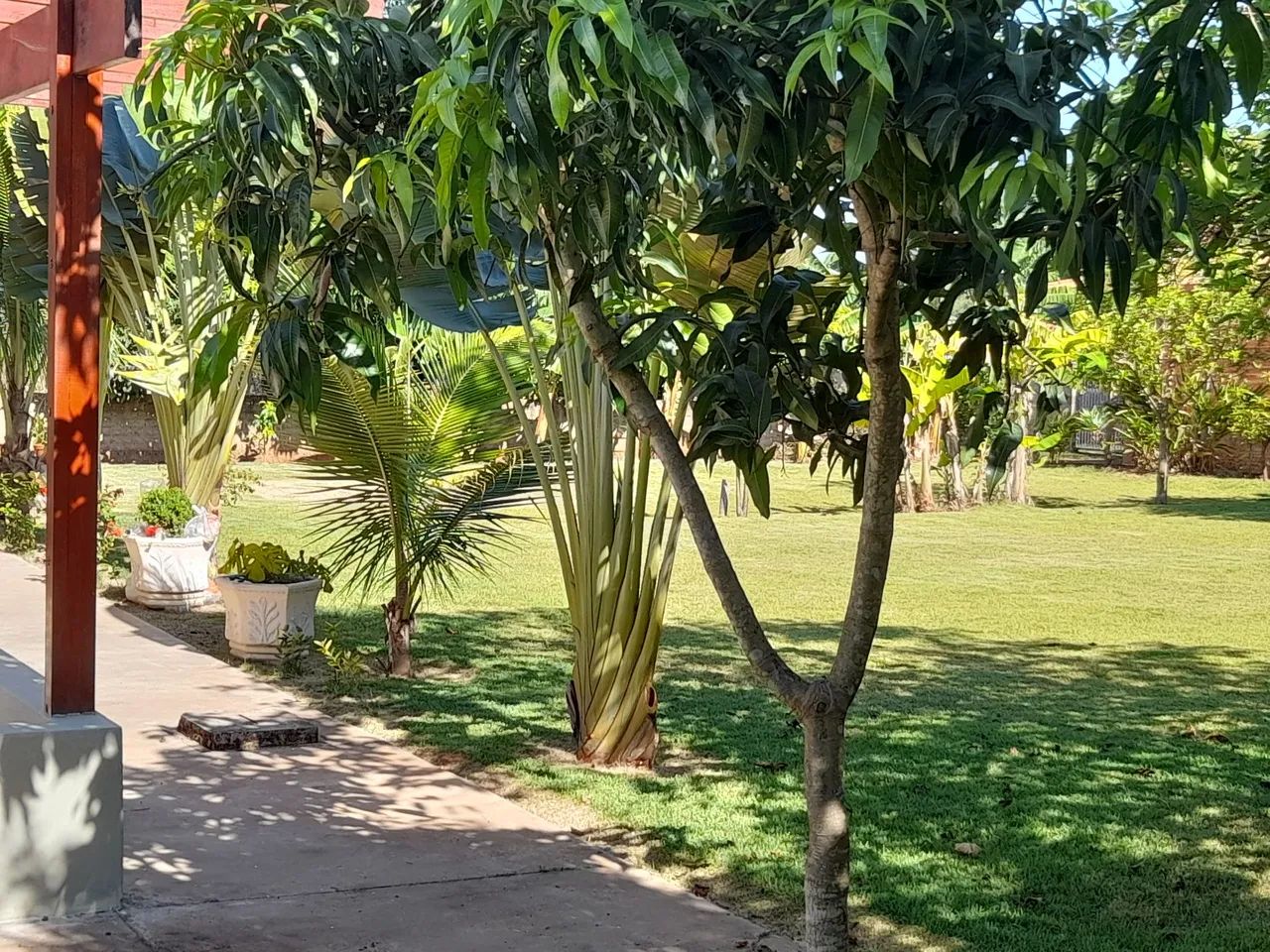 Chácara pra Locação - Foto 4