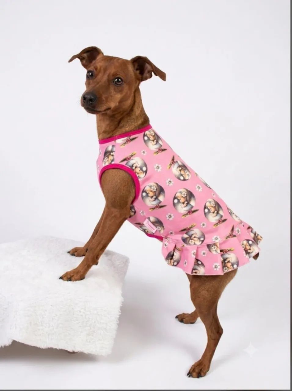 Roupas para Cães e gatos  - Foto 3