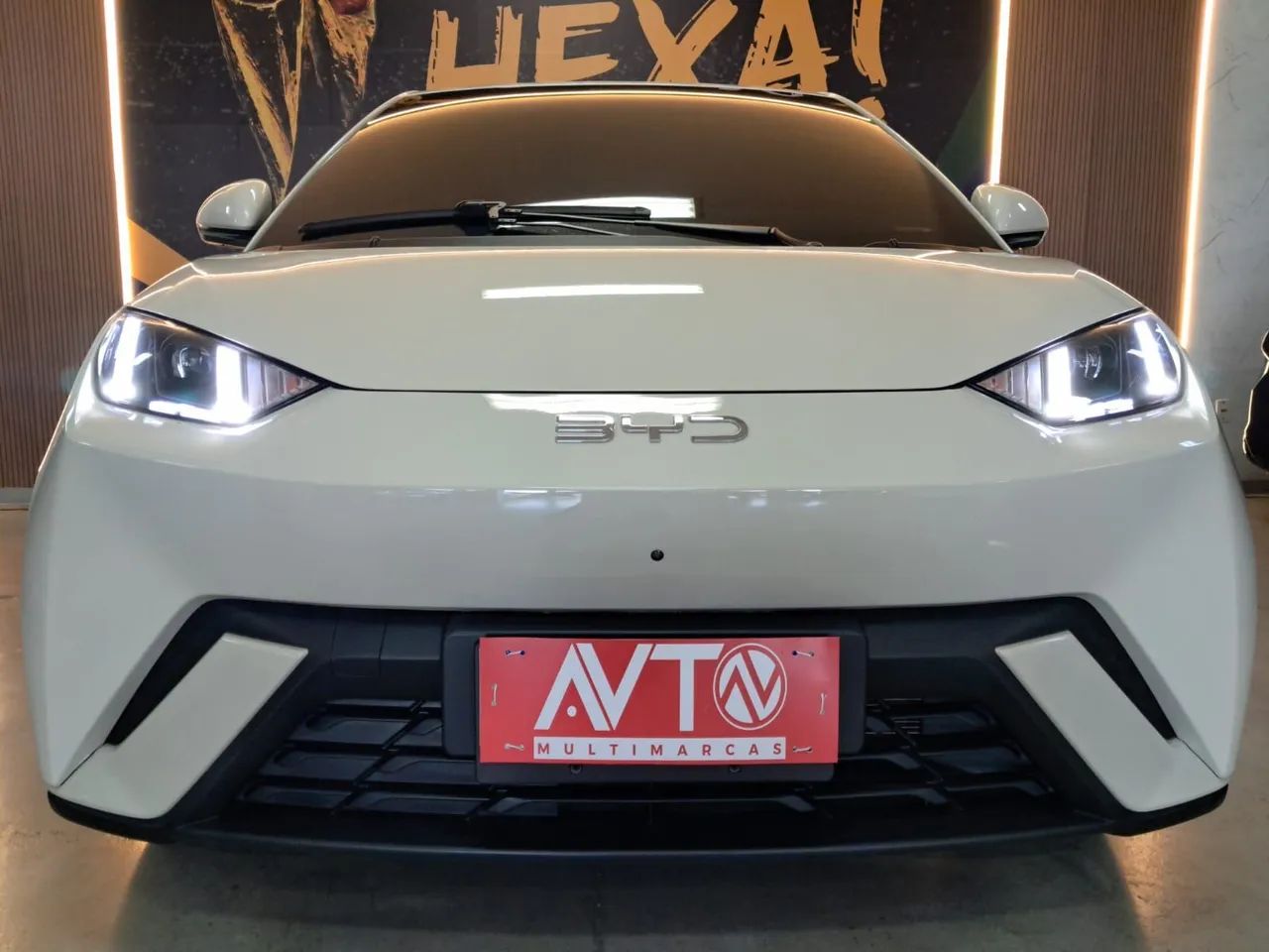 BYD Dolphin Mini (Elétrico) 2025 - Foto 3