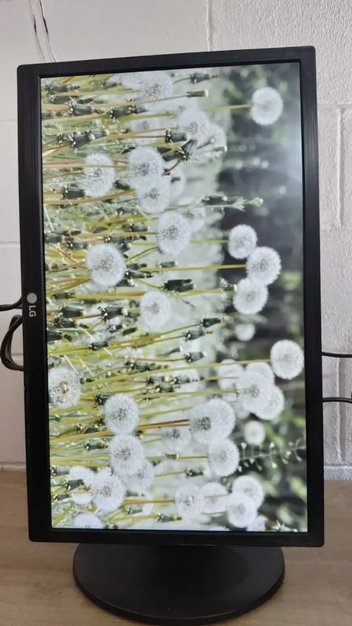 Monitor LG 22 Polegadas" Full HD com HDMI | Tela LED! - Foto 4
