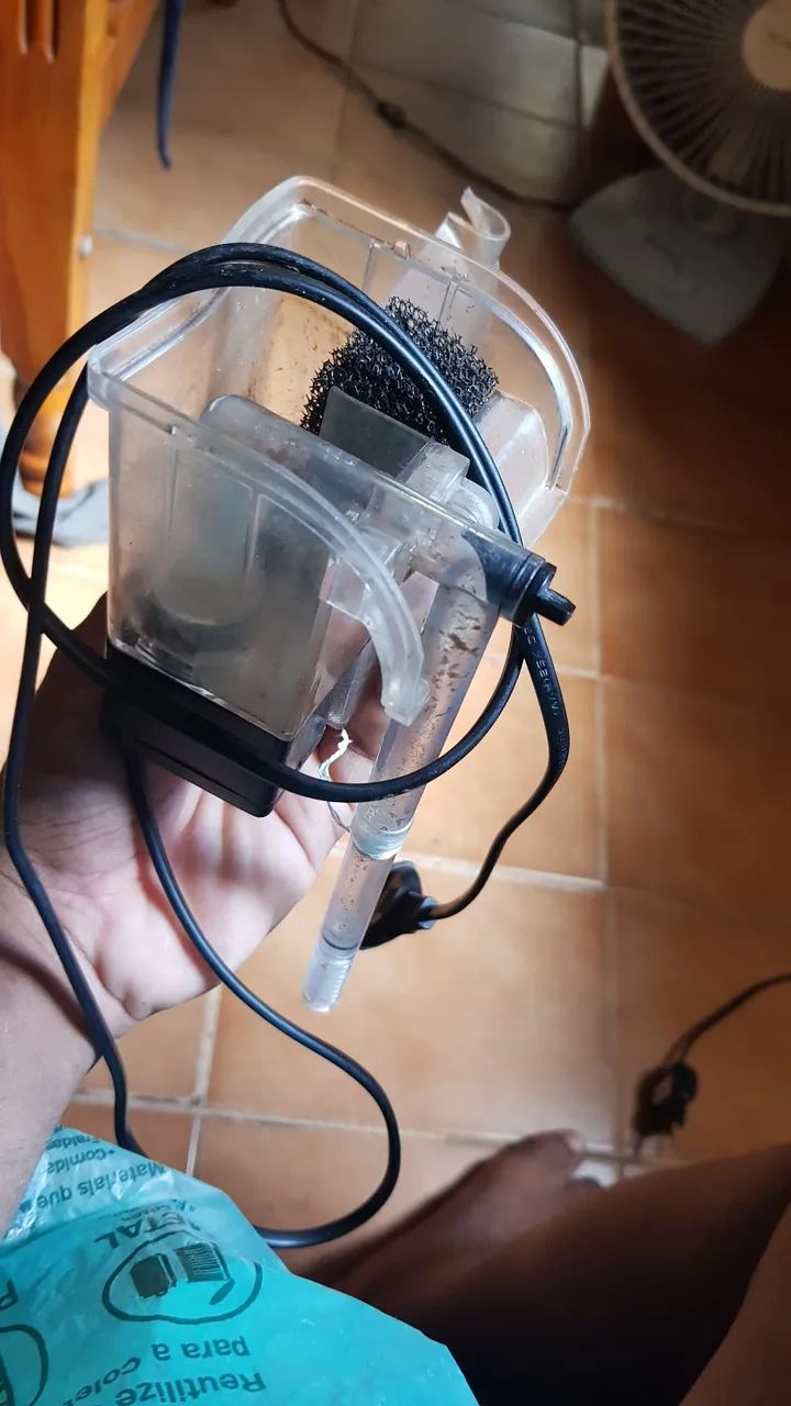 Bombinha Jeneca - Foto 2