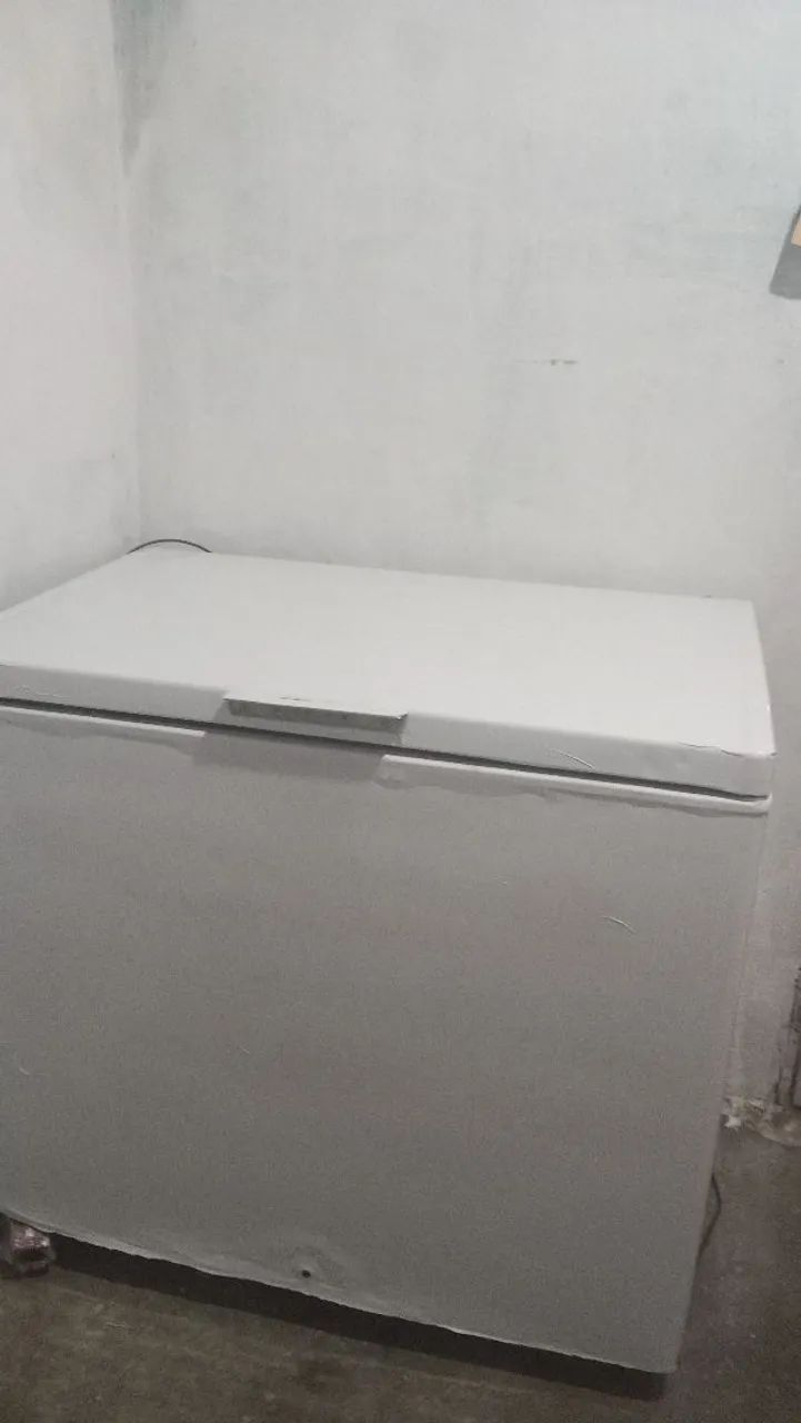 Frizer 1 porta