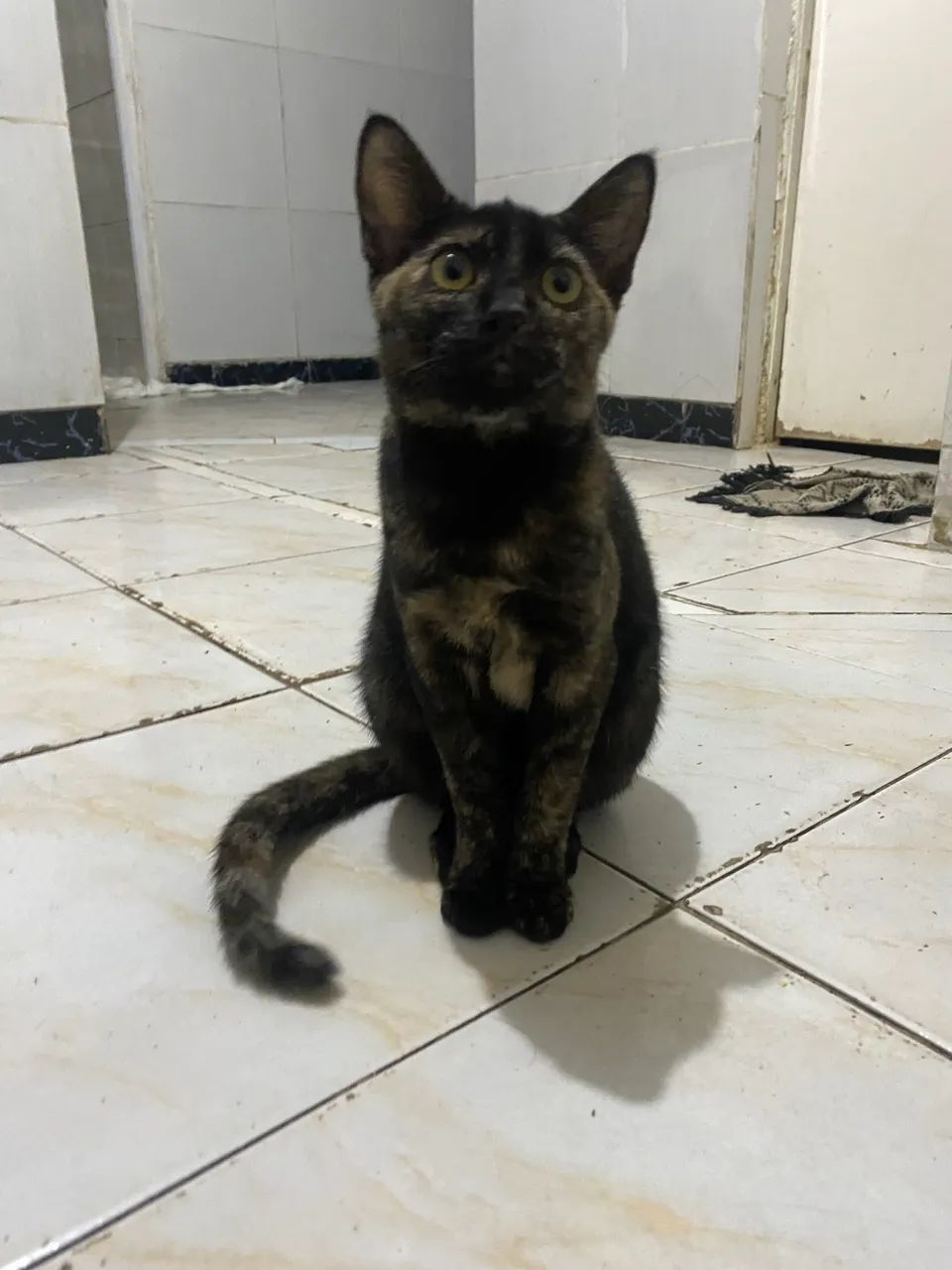 Doação  - Foto 3