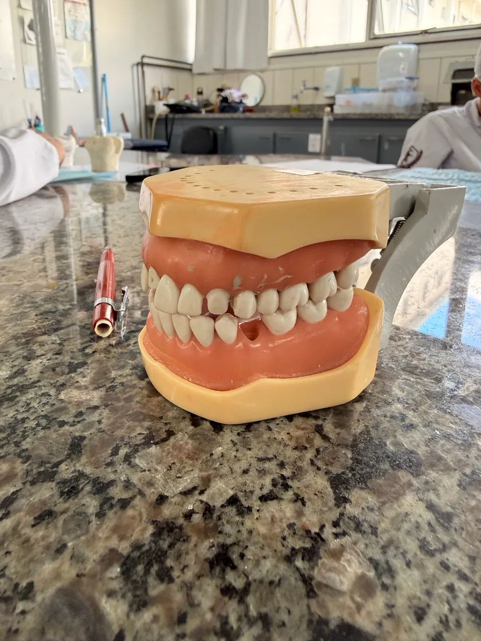 Manequim MOM dentistica - Foto 4