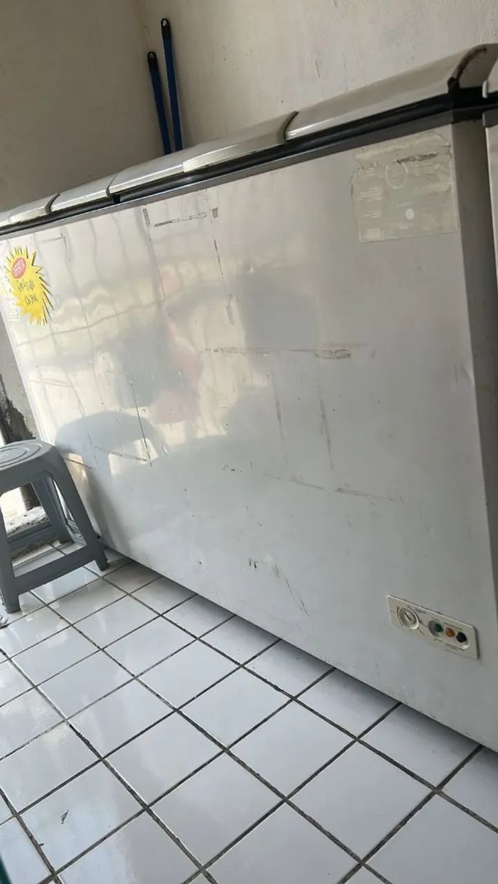 Freezer horizontal 2 portas Eletrolux 