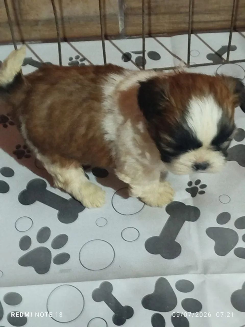 Vendas  - Foto 3