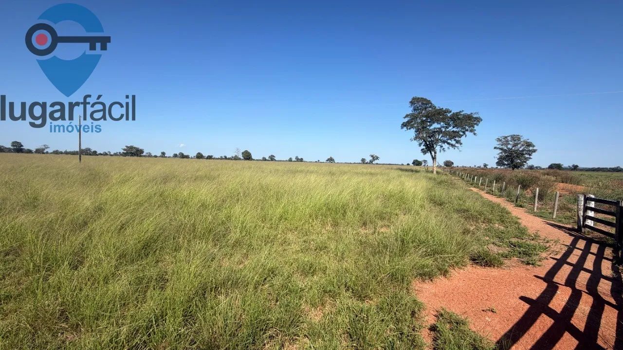 FAZENDA MUNICIPIO JUSSARA - Foto 5