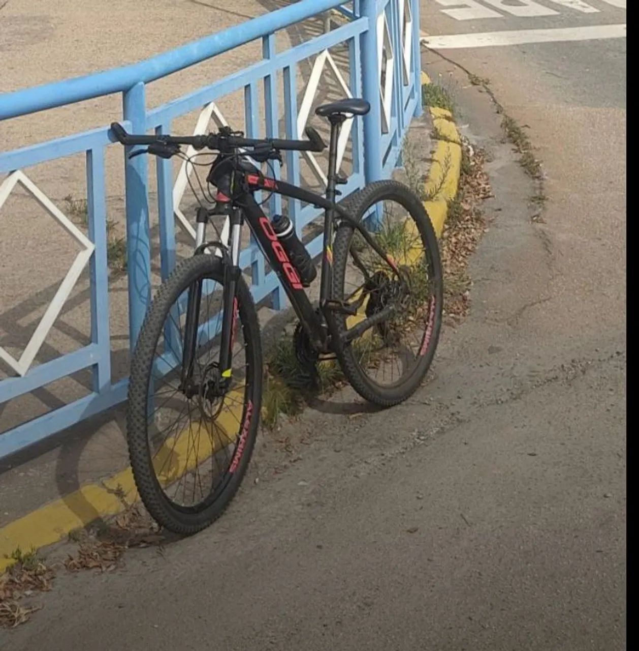 Bicicleta oggi aro 29  - Foto 2