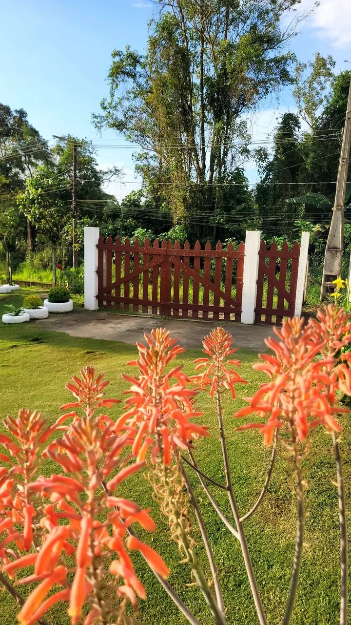 Jardinagem