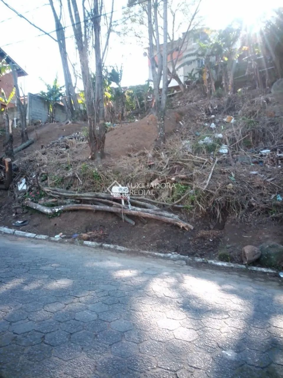 Terreno no Saco Grande com 480m² - Foto 2