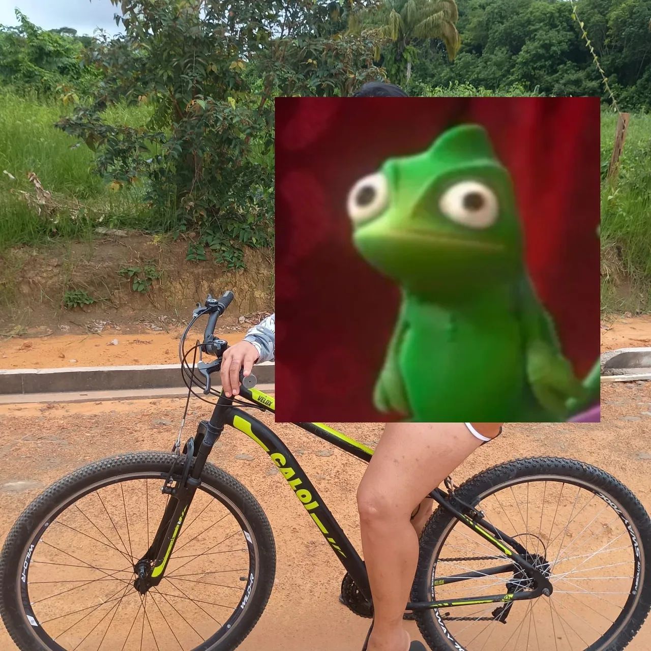 Bicicleta 