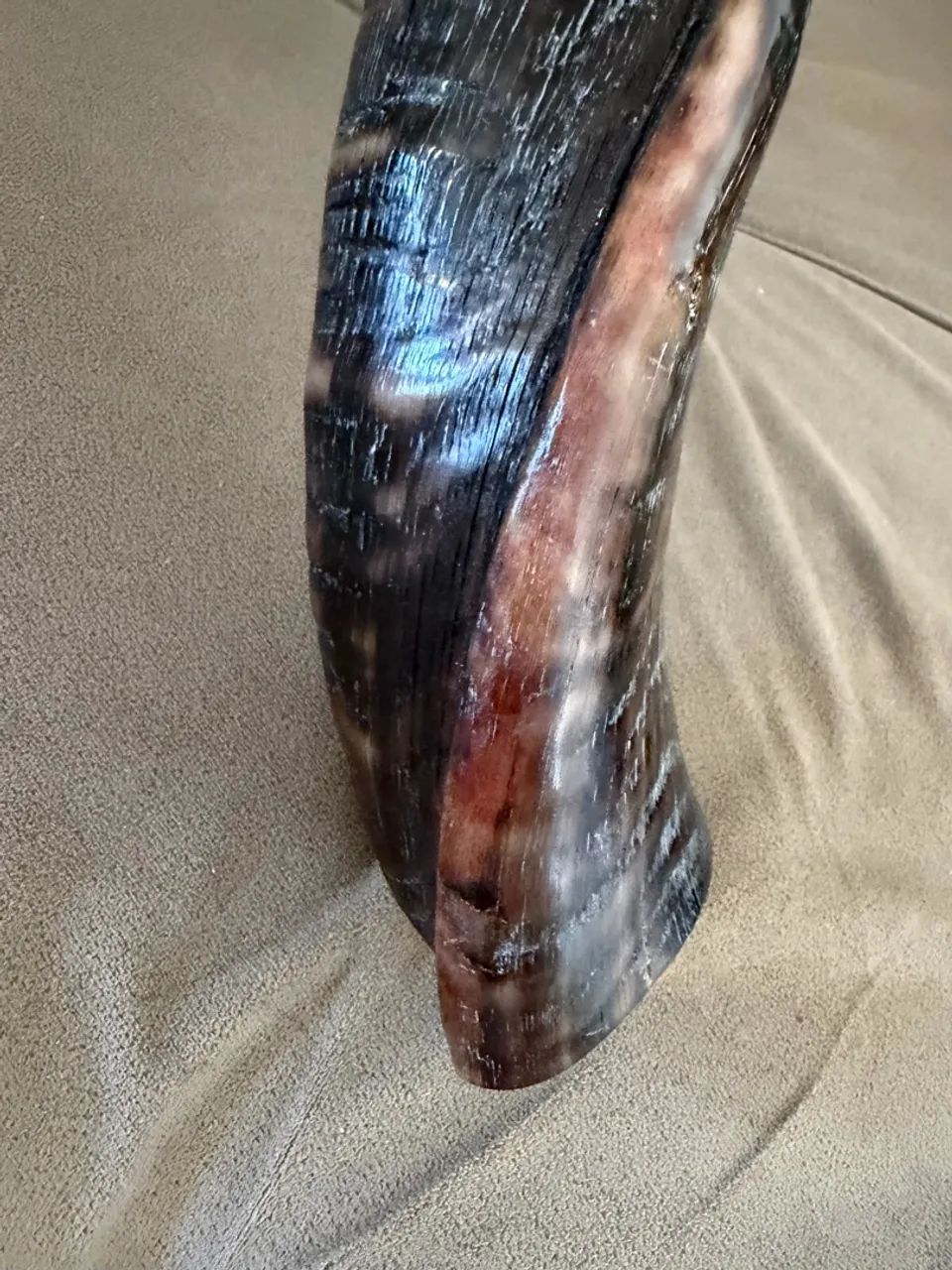 SHOFAR  - Foto 3
