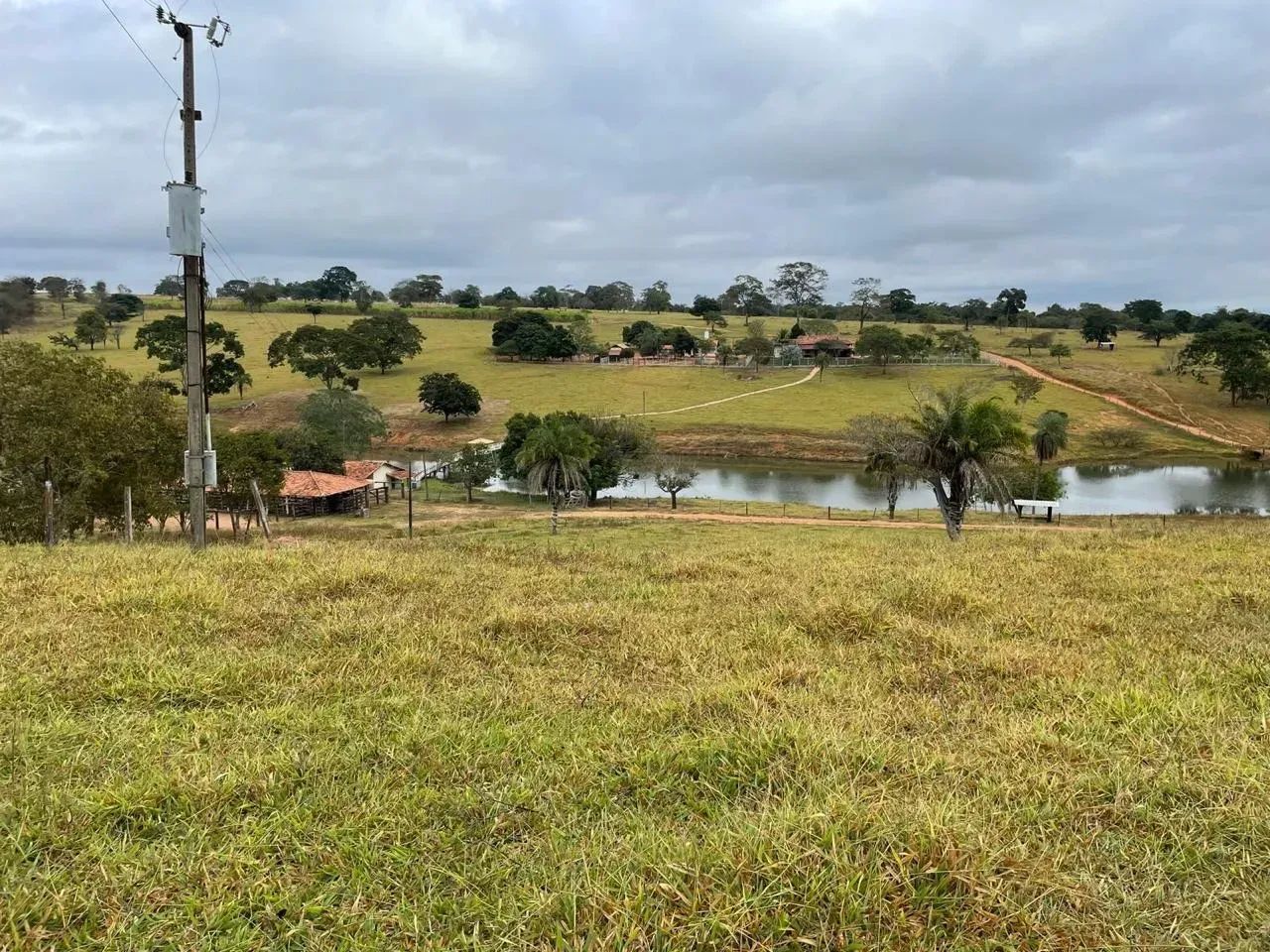 Fazenda a venda em Trindade - Goiás!!! - Foto 4