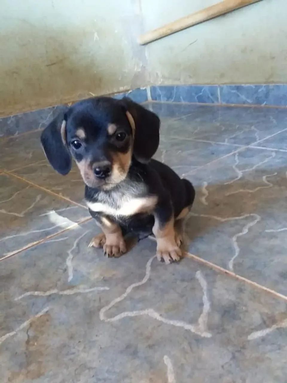 DOAÇÃO 