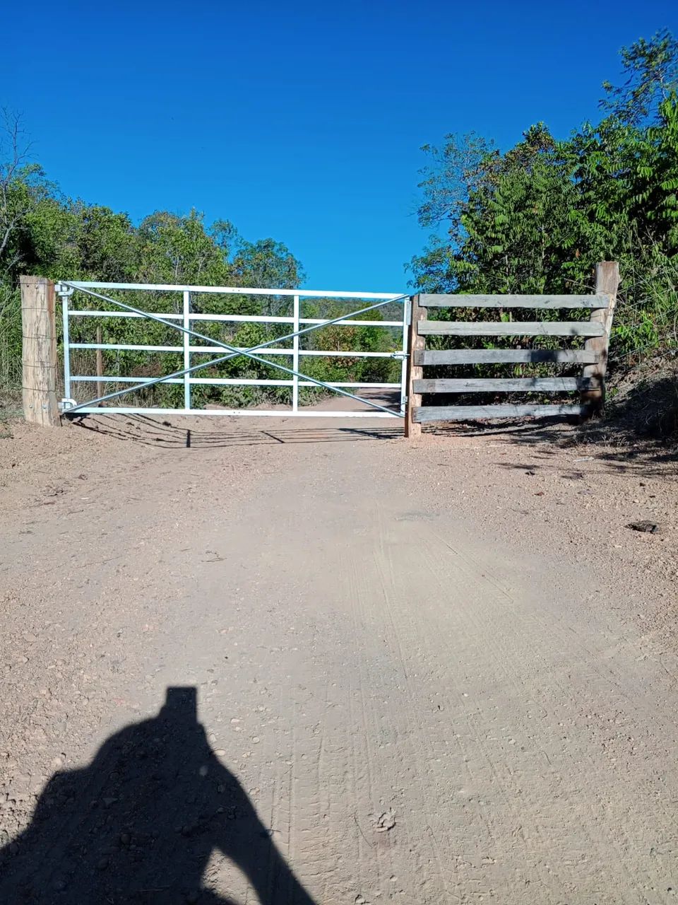 Fazenda Atibaia, Monte do Carmo, TO - Foto 2