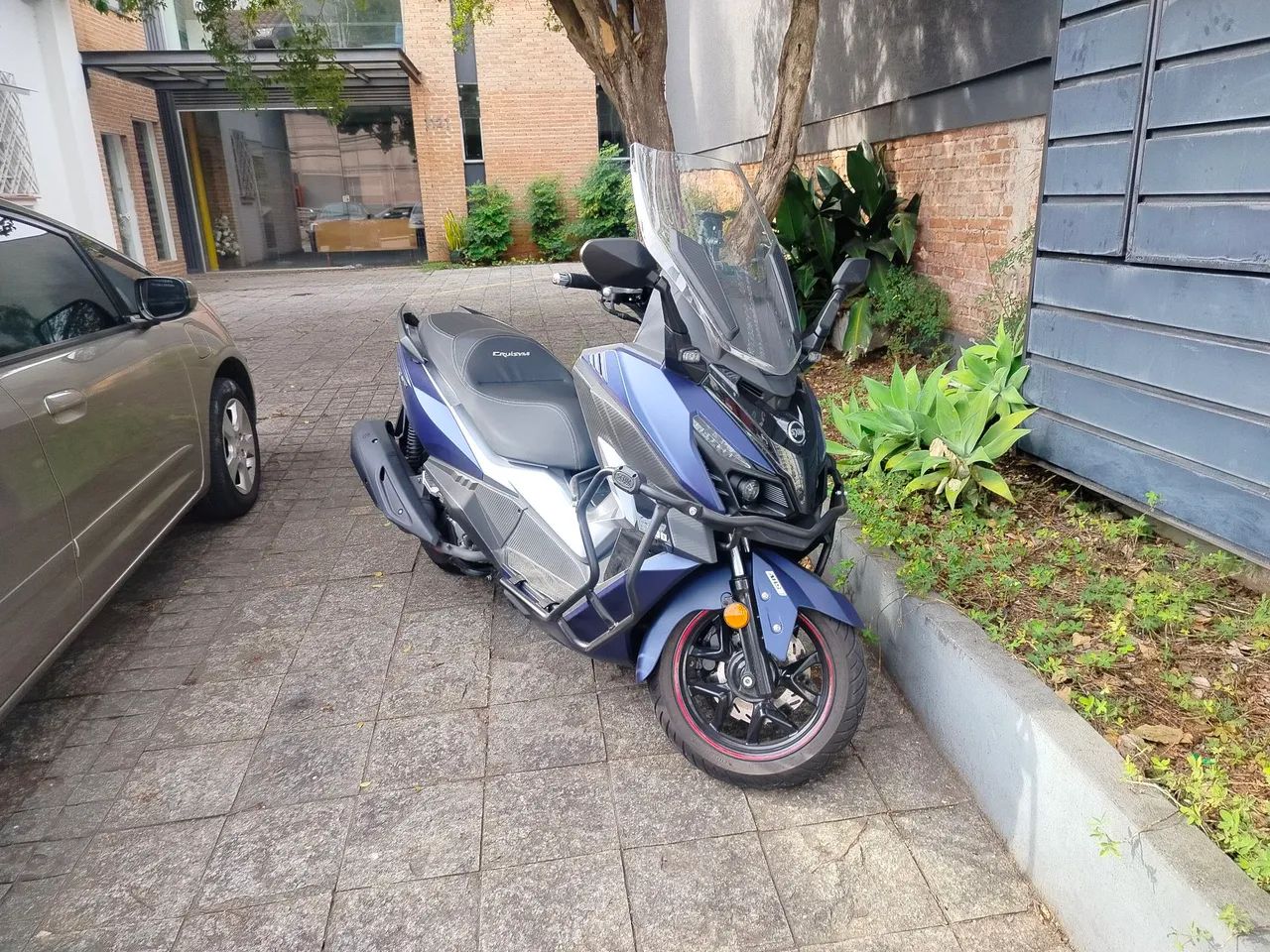 Cruisyn 300 