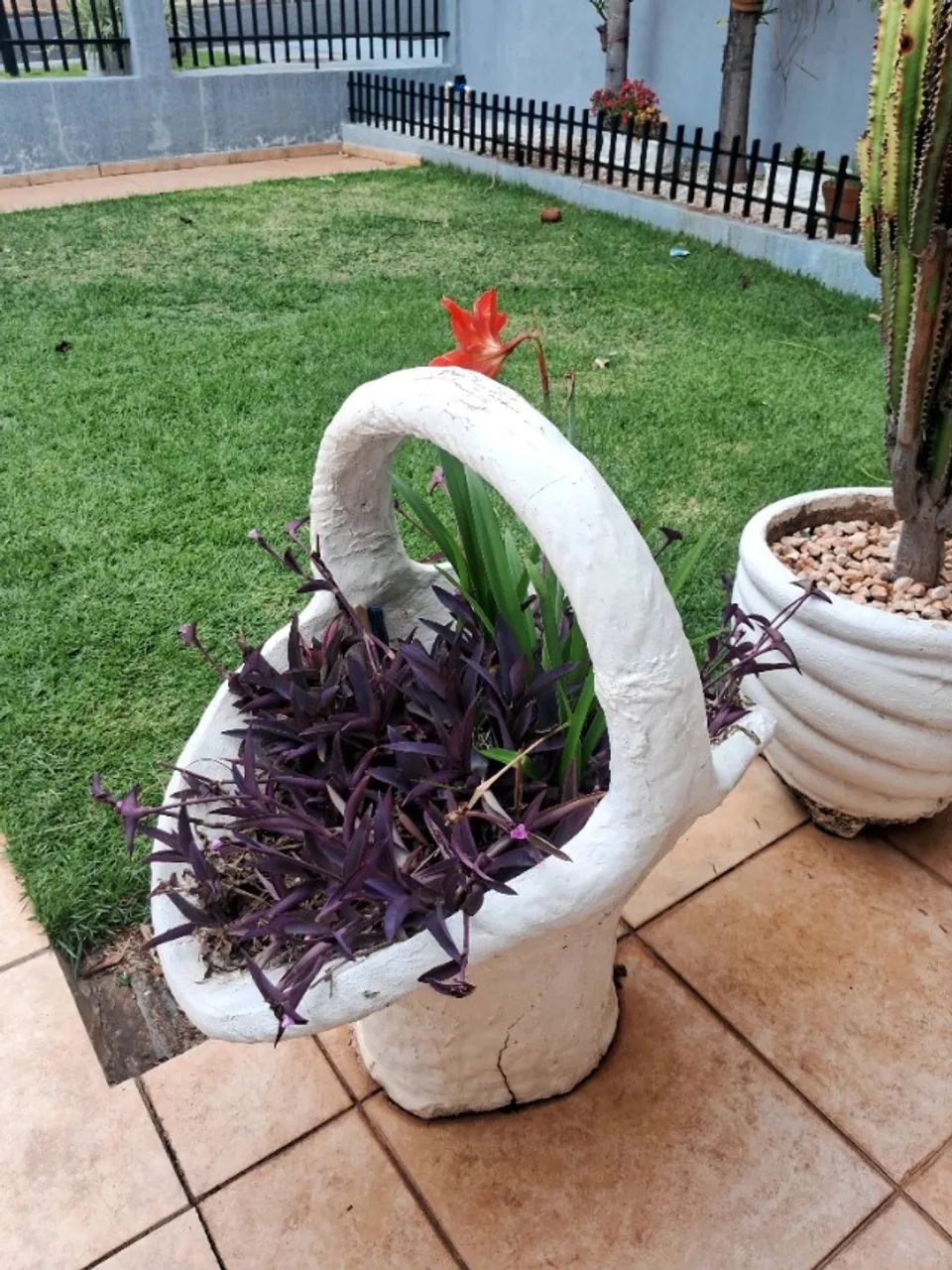 Vasos  - Foto 3