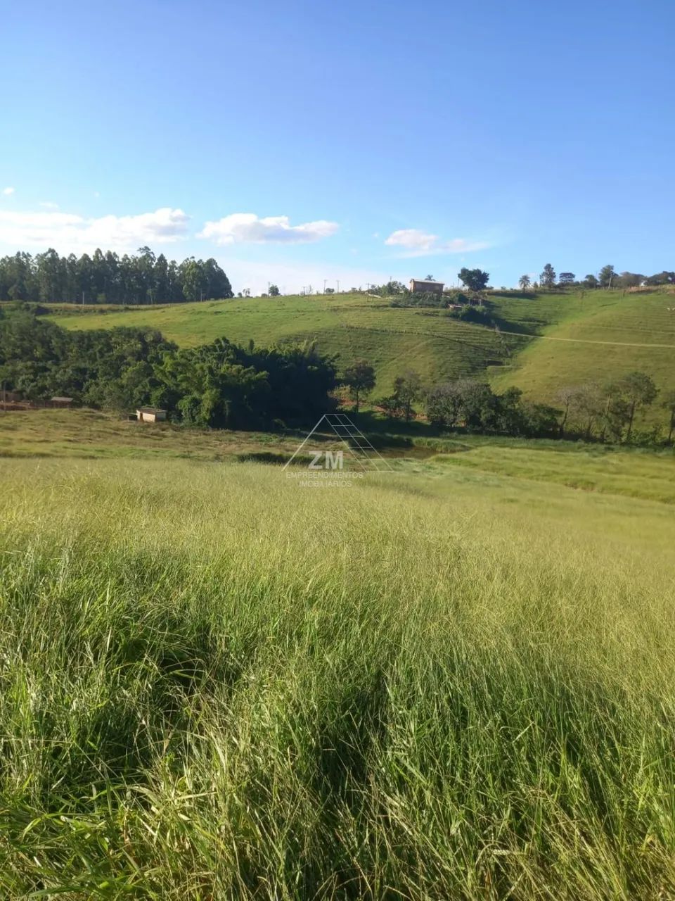 sítio - Zona Rural - Caconde