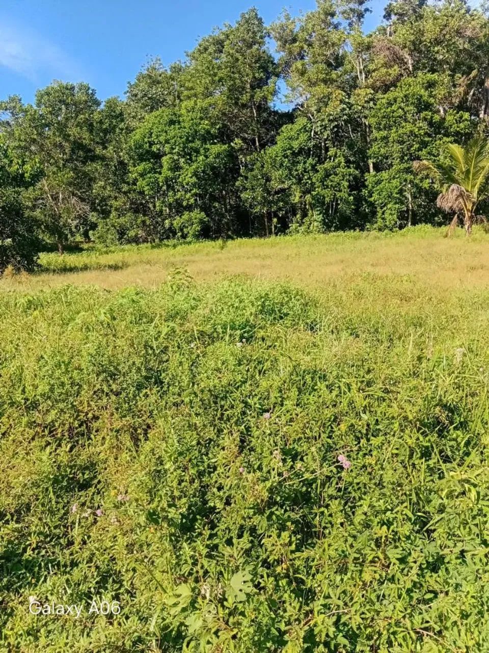 Vende-se  - Foto 2