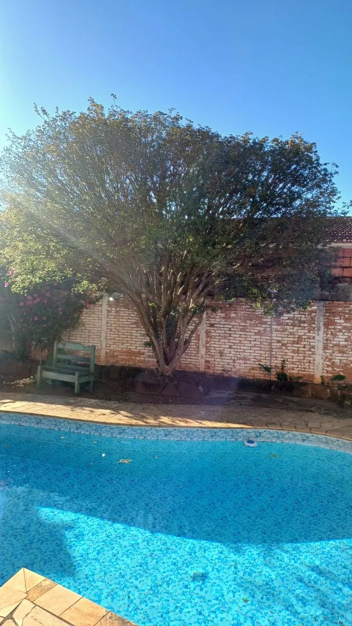 Doação Jaboticabeira - Foto 3