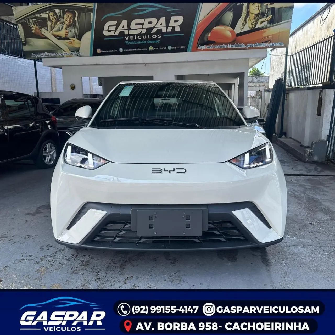 BYD Dolphin EV (Elétrico) 2027 - Foto 3