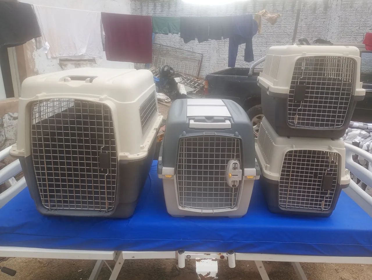 VENDO CAIXAS DE TRANSPORTE PARA CÃES E GATOS ? - Foto 3