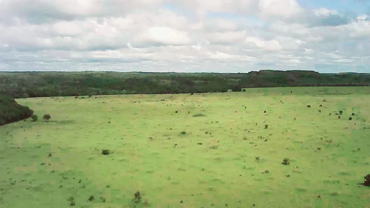 Fazenda no Tocantins 