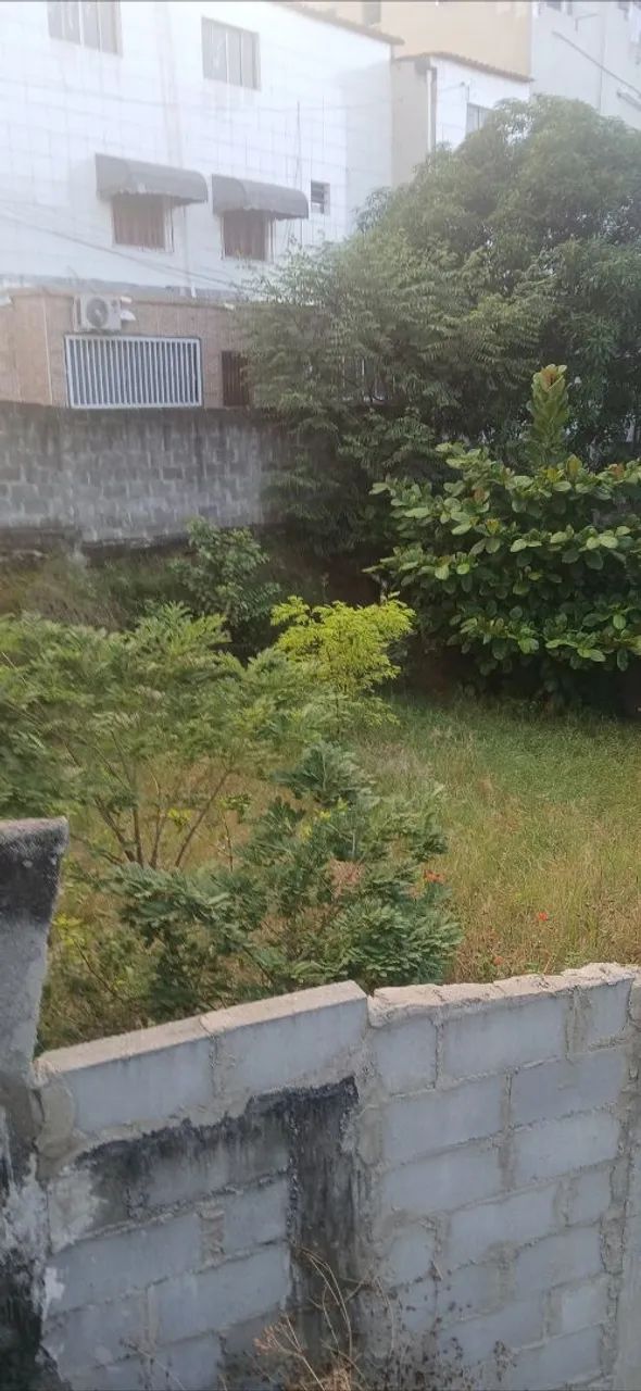 ROÇADAS DE LOTES TODA GRANDE VITORIA - Foto 3