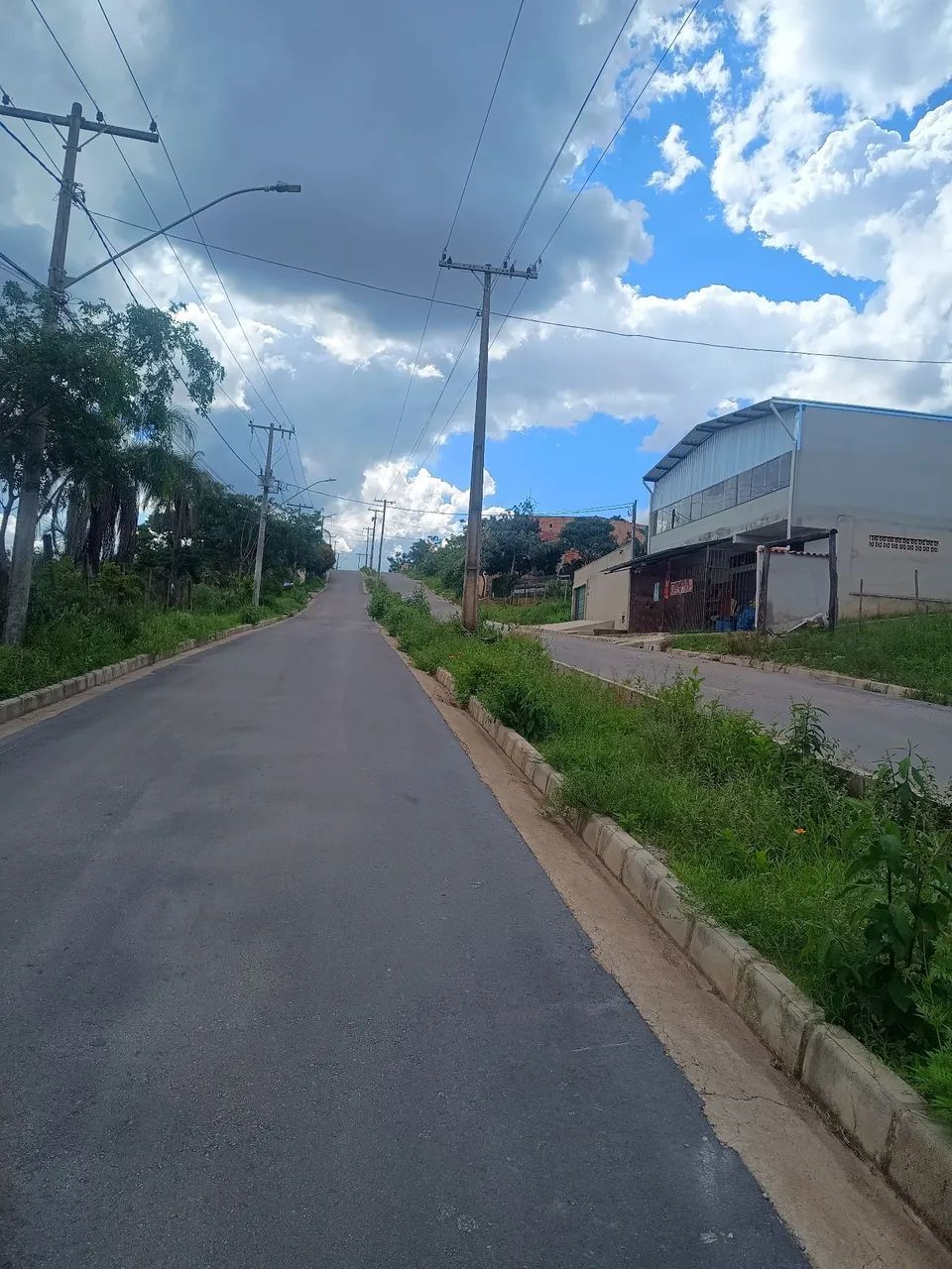 Foto - Contagem - Tropical
