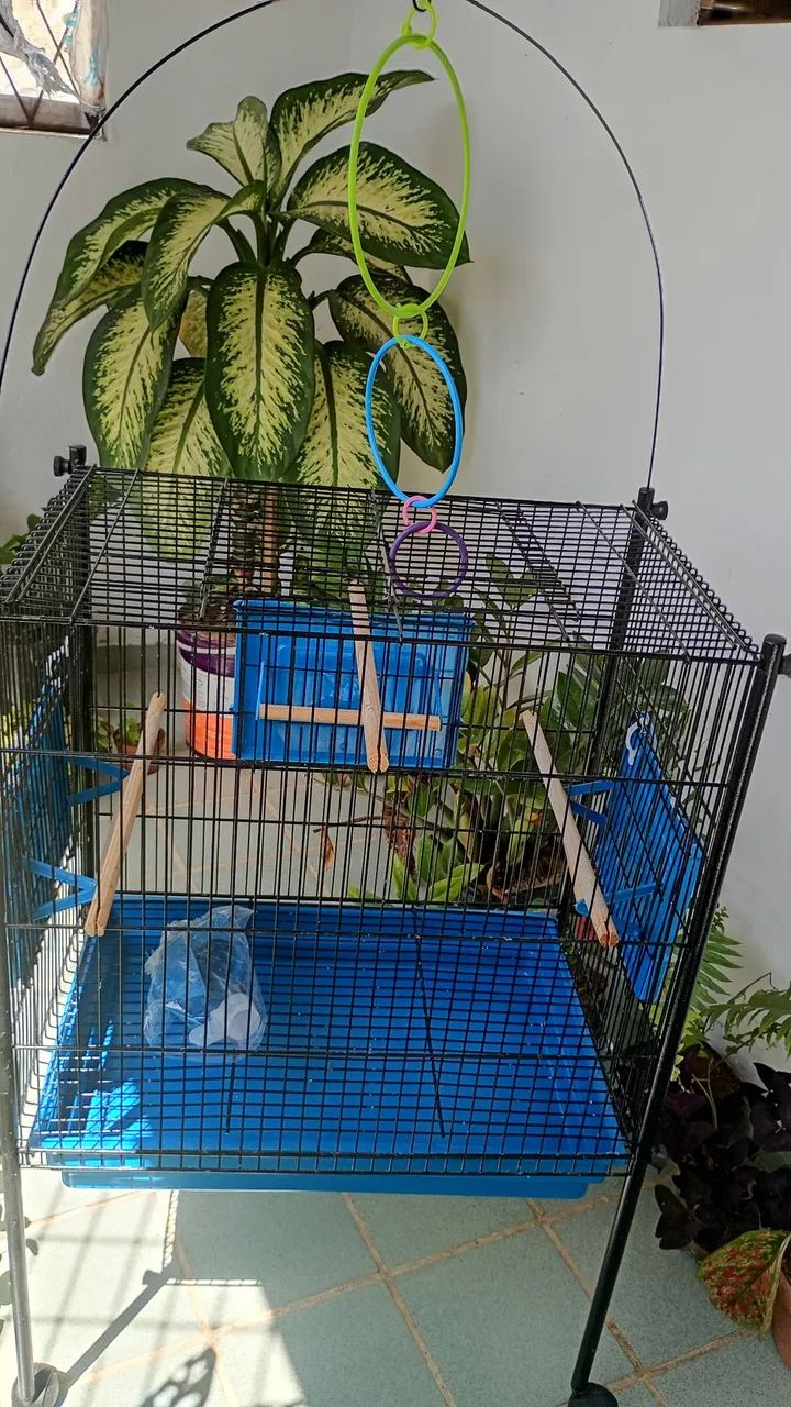 Gaiola para passarinho  - Foto 3