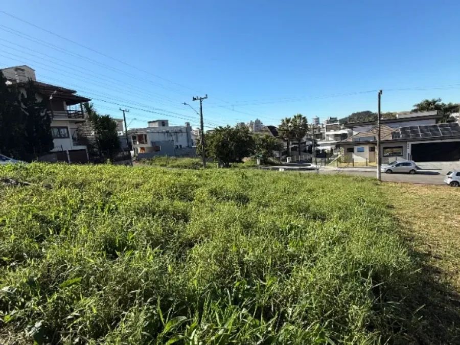 Terreno na Pedra Branca - Foto 4