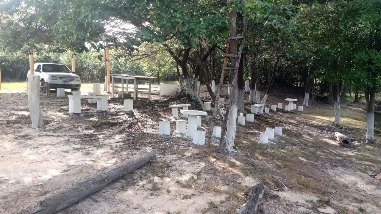 Vendo Chácara/ Sitio - Foto 3