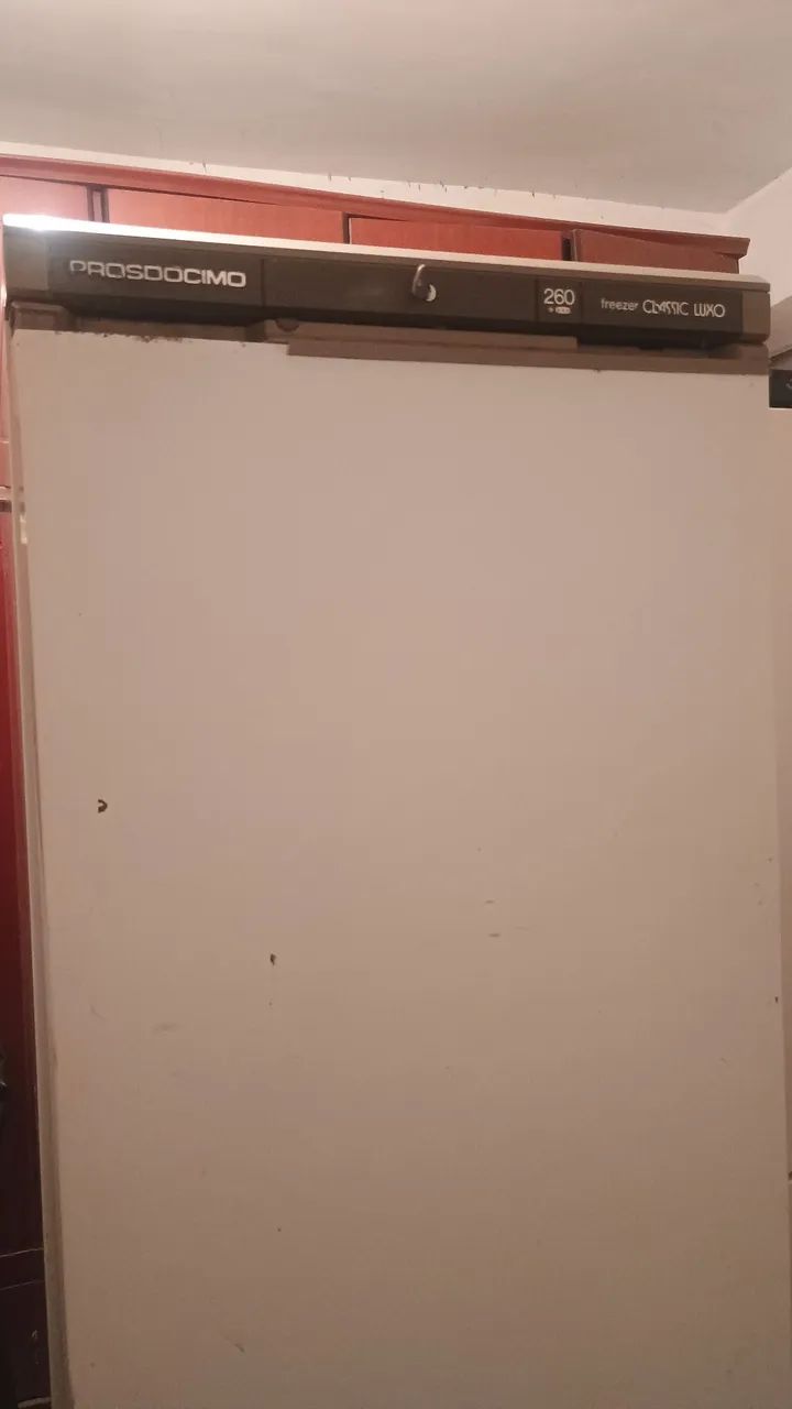 Freezer Vertical 
