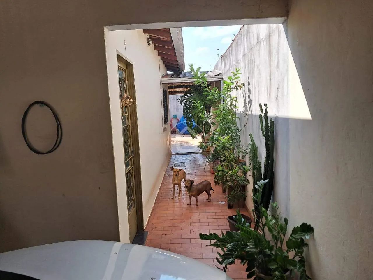 ÓTIMA RESIDÊNCIA NO VIDA NOVA - Foto 5