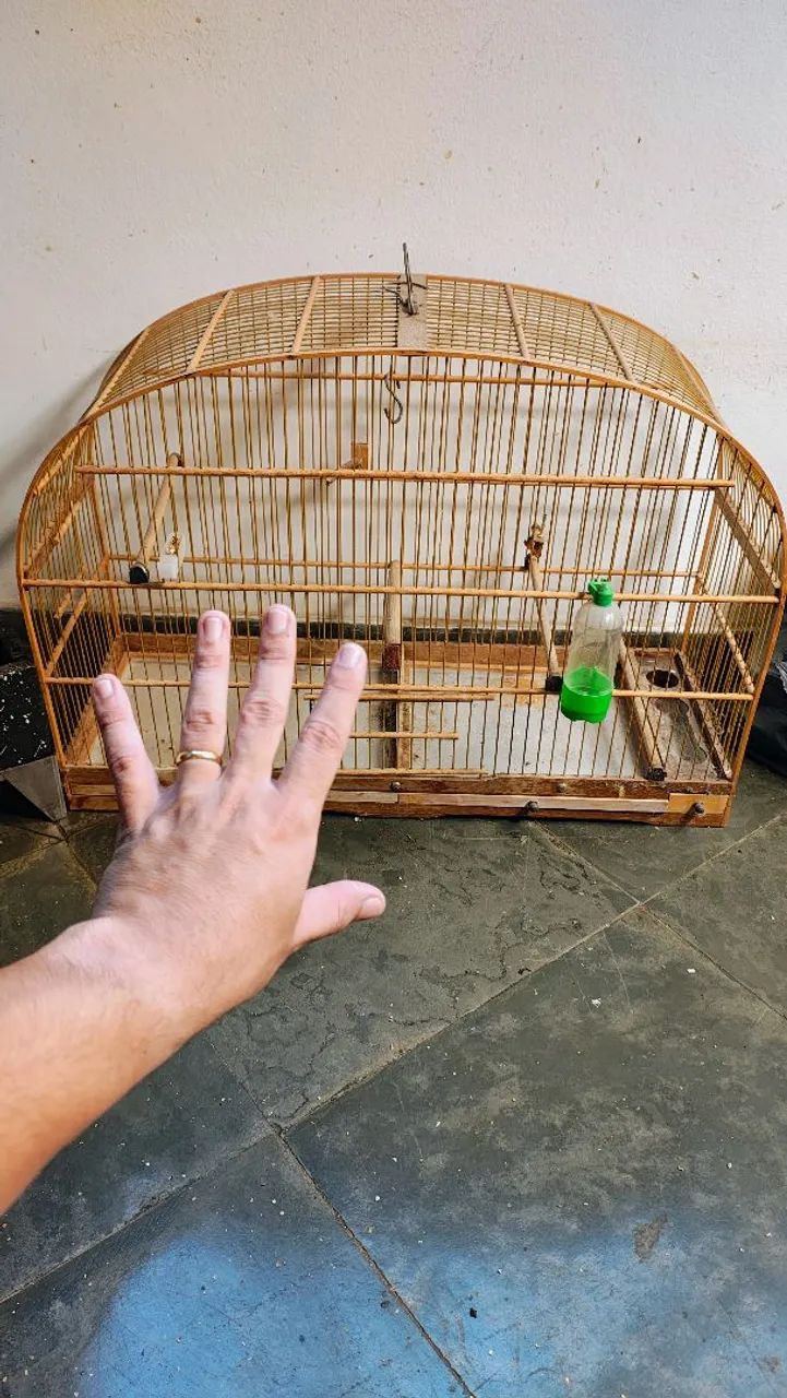 Gaiola voadora voador