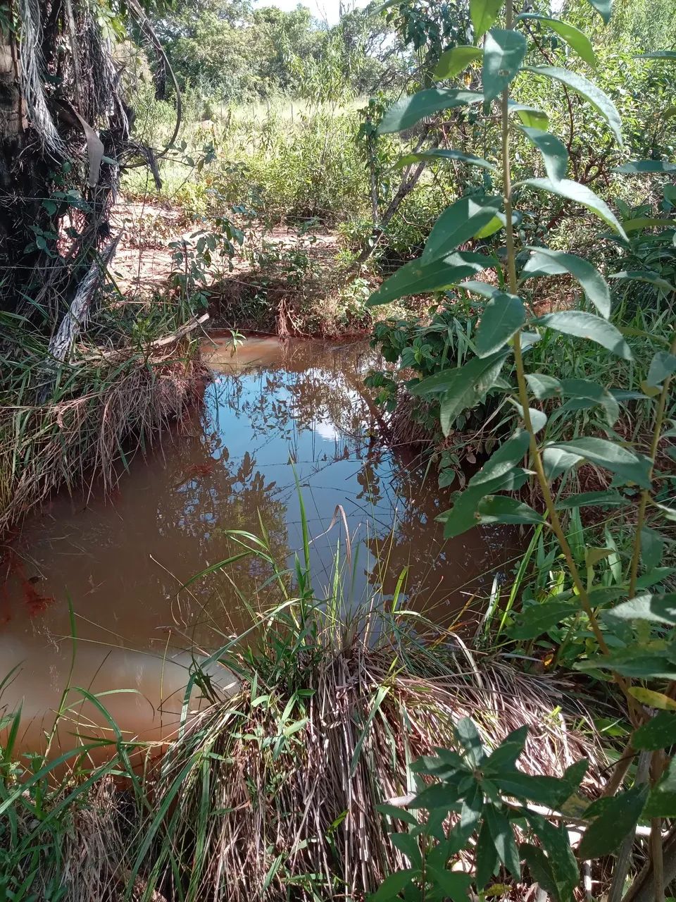 Lote 2000 MTS 5,000 São José de Almeida  - Foto 6