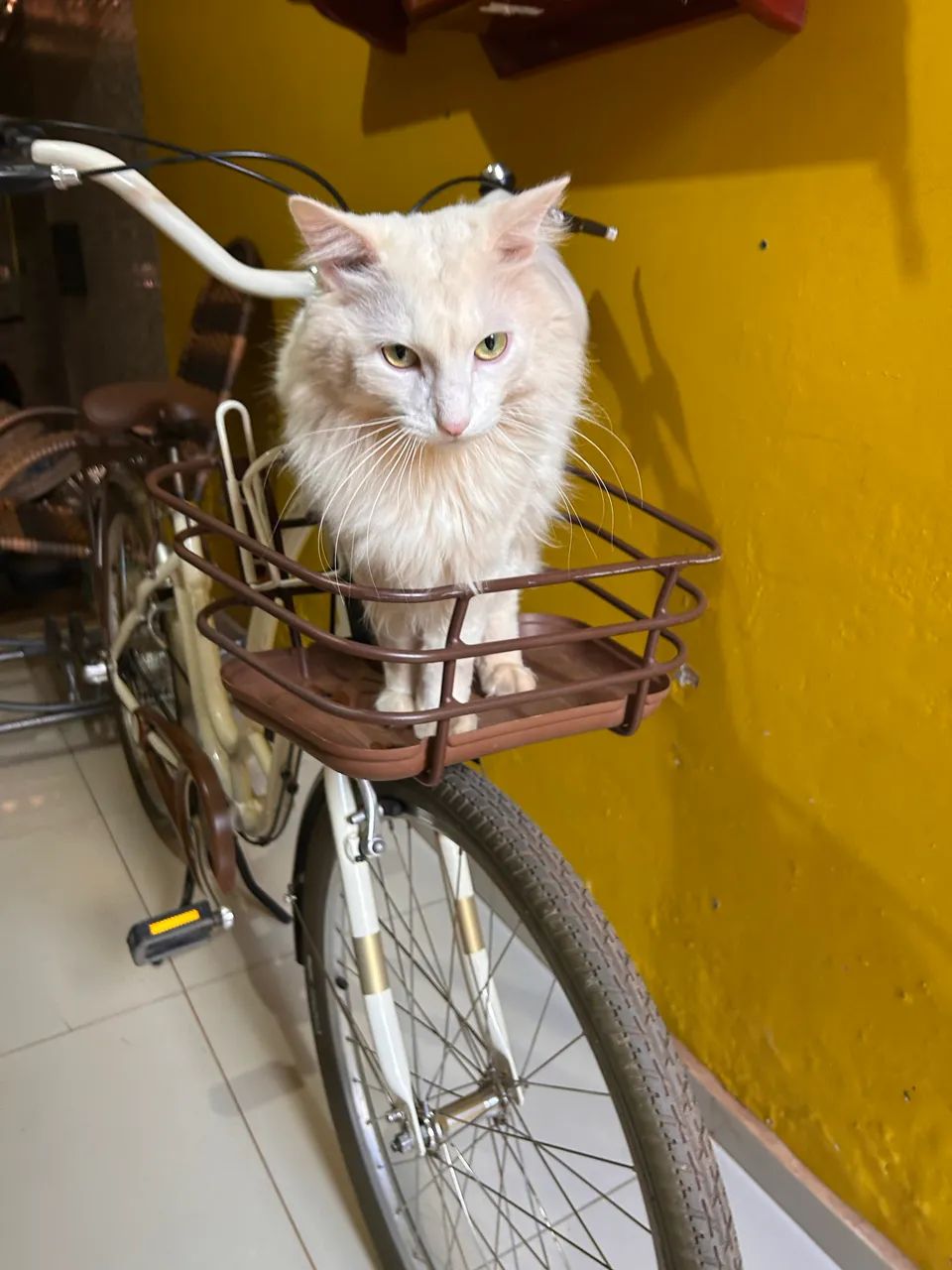Bicicleta Antonella - Foto 5