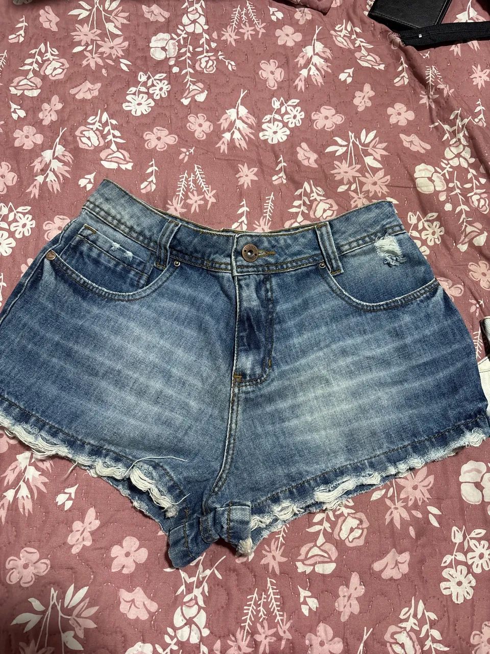 Short Colmeia 38