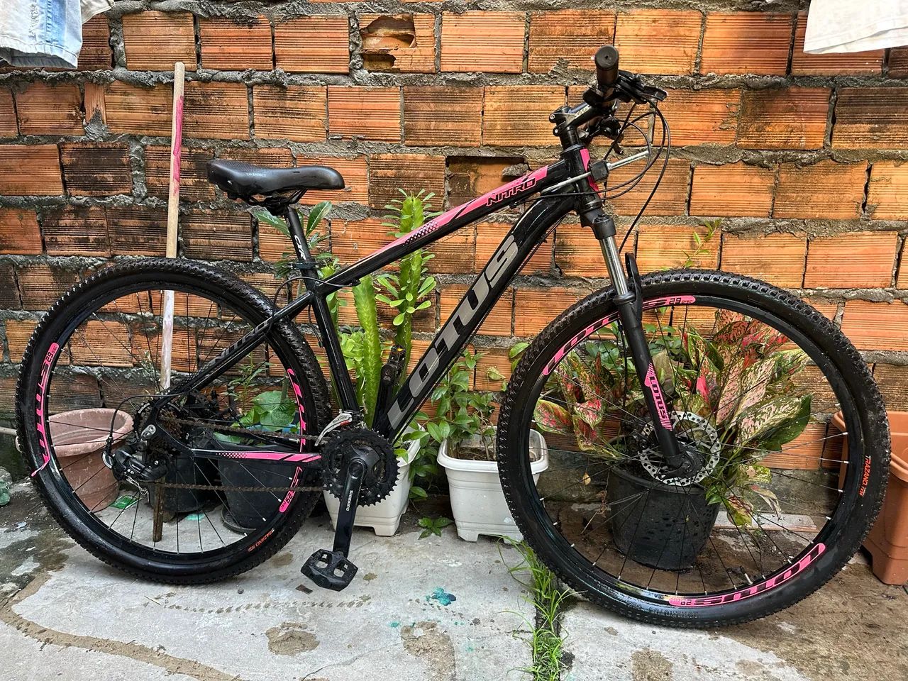 Bicicleta lótus  - Foto 3